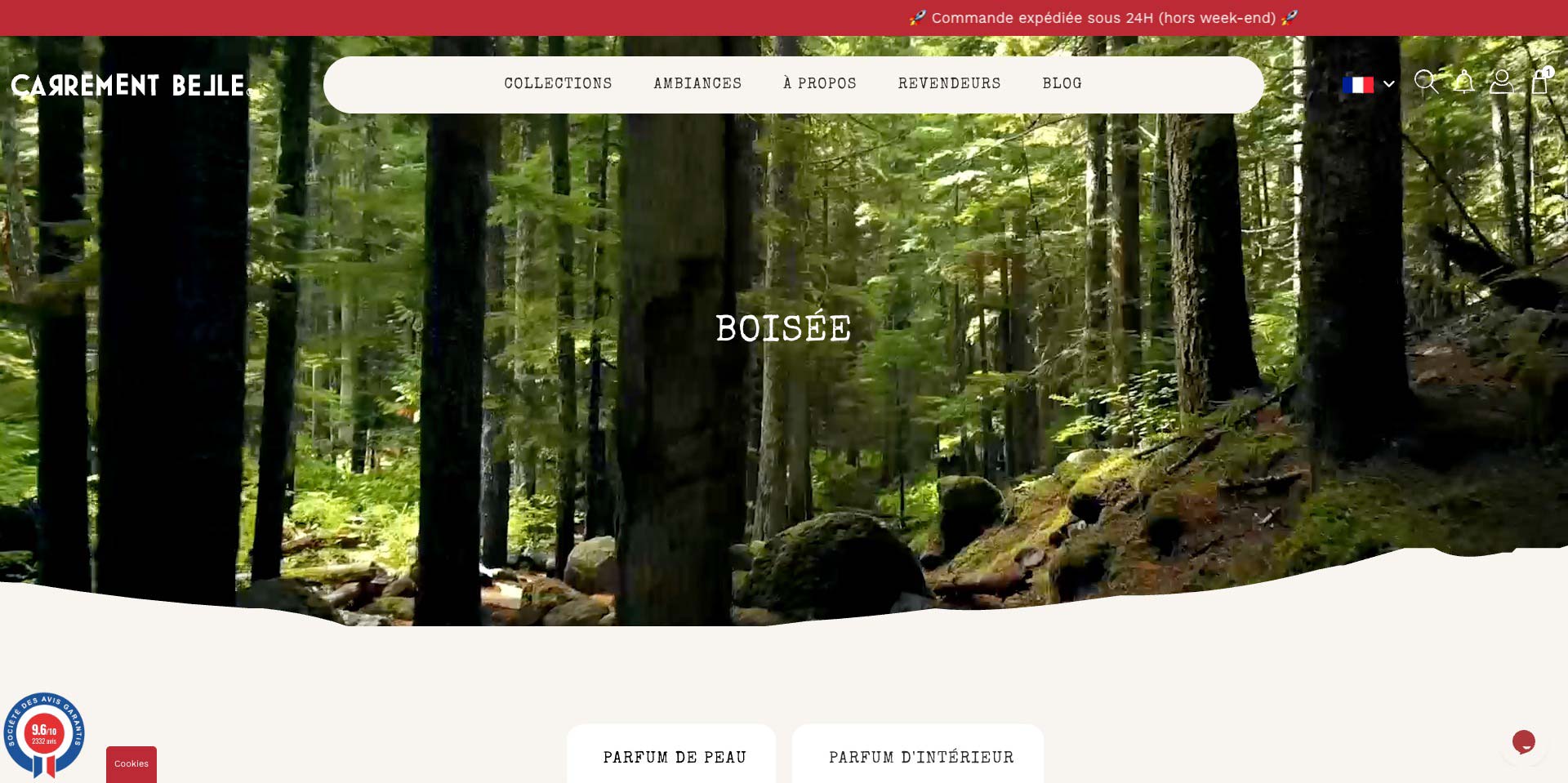 ui-ux-designer-ui-experience-carrement-belle-montpellier